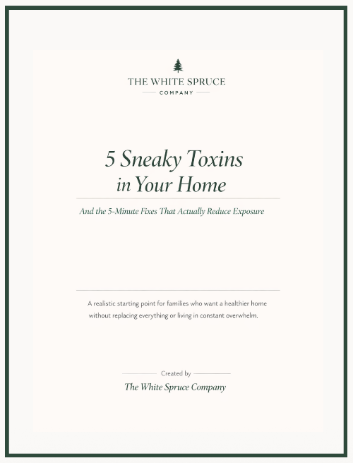 FREE - 5 Sneaky Toxins in Your Home