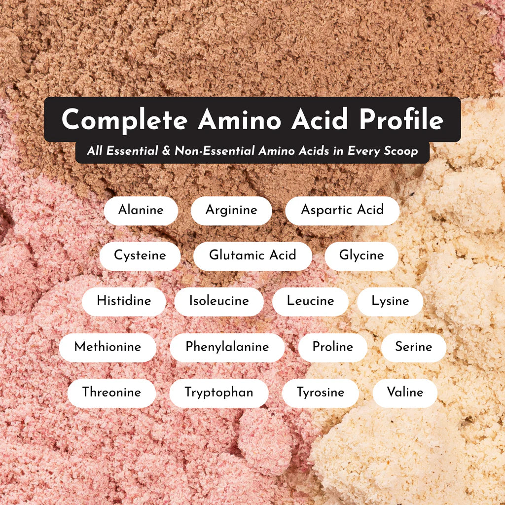 Just Ingredients: Vanilla Bean Protein Powder
