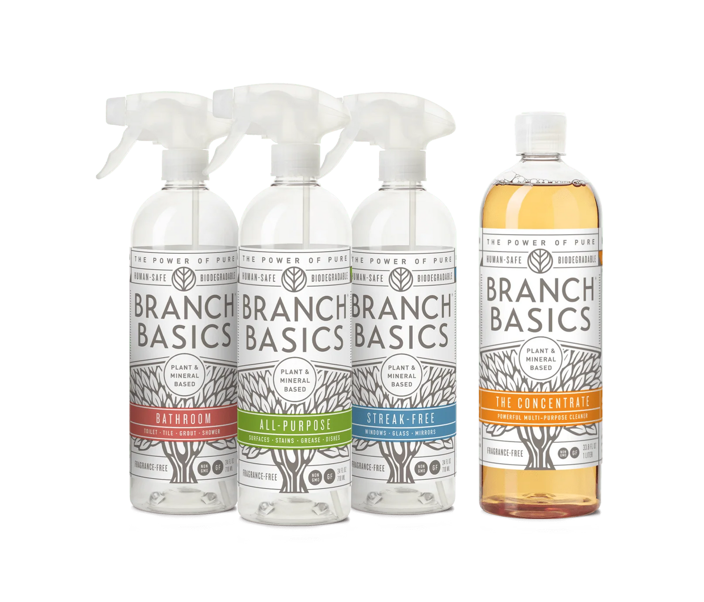 Branch Basics: Cleaning Essentials Kit